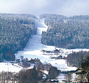 Bayerischer Wald